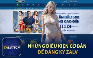 Những điều kiện cơ bản để đăng ký ZALV