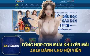 Tổng Hợp Cơn Mưa Khuyến Mãi ZALV Dành Cho Hội Viên