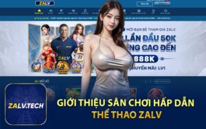 Giới Thiệu Sân Chơi Hấp Dẫn Thể Thao ZALV