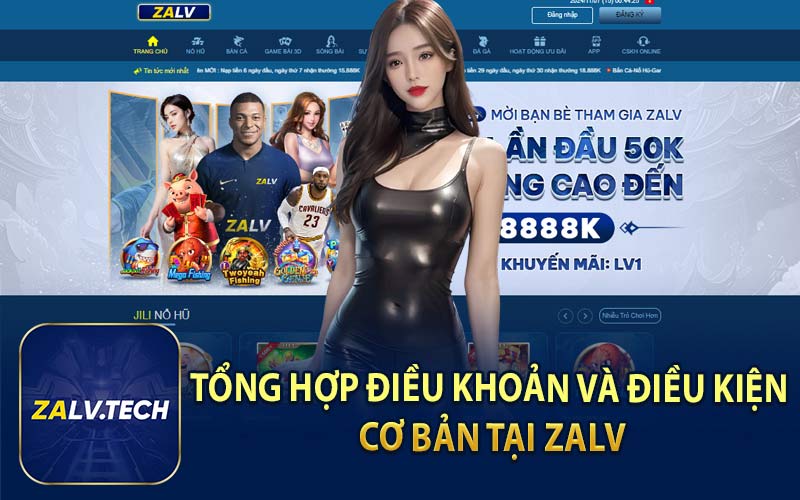 Tổng Hợp Điều Khoản và Điều Kiện Cơ Bản Tại ZALV